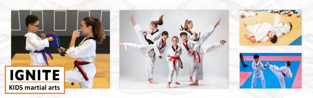 ignite martial arts kids banner