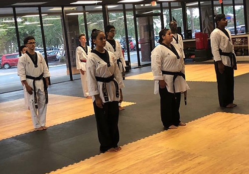 ignite martial arts adults training