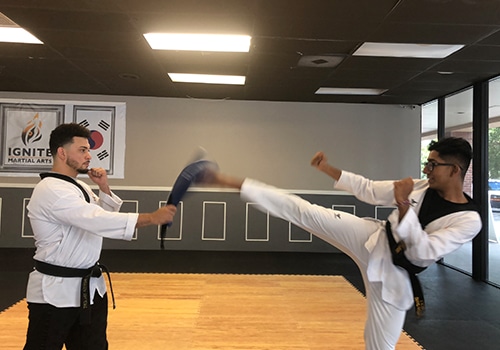 ignite martial arts adult training