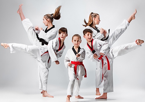ignite martial arts kids posing with kicks and punches