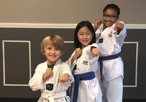 ignite martial arts kids posing