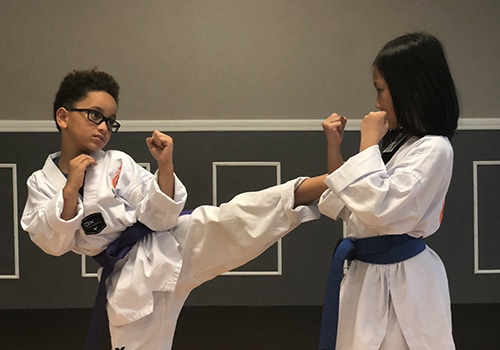 ignite martial arts kids practicing kicks